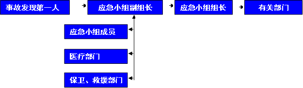 事故发现第一人,应急小组成员,应急小组组长,应急小组副组长,有关部门,医疗部门,保卫、救援部门